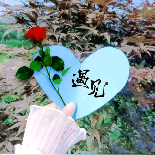 🌹遇见