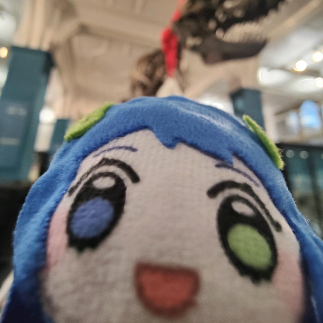 藥九💊(^з^)☆