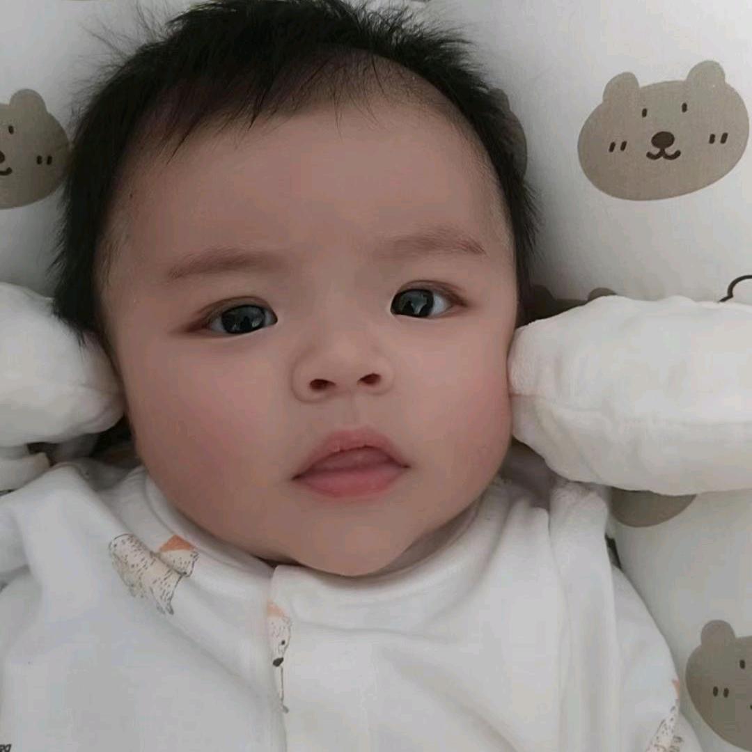 小兔子🐰