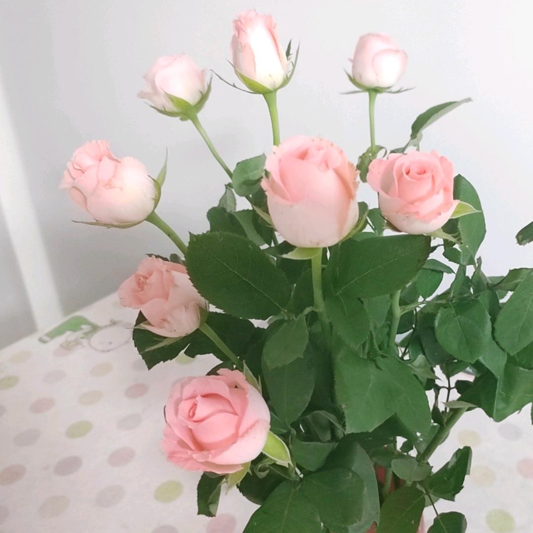 🥀心以🥀上锁🥀