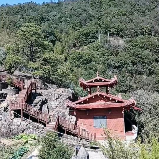杨雪姐