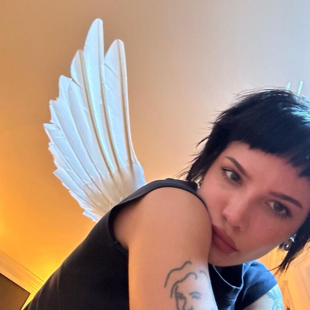 求求你不要不梨我