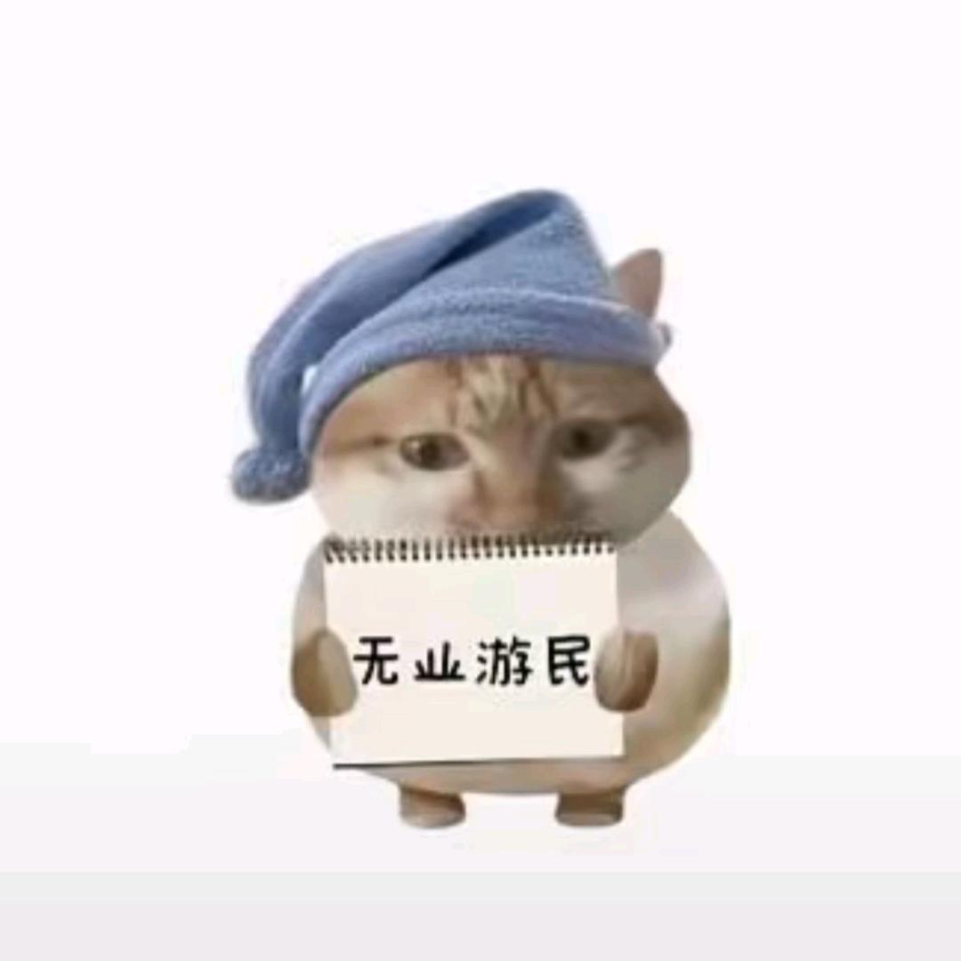 小新✈️