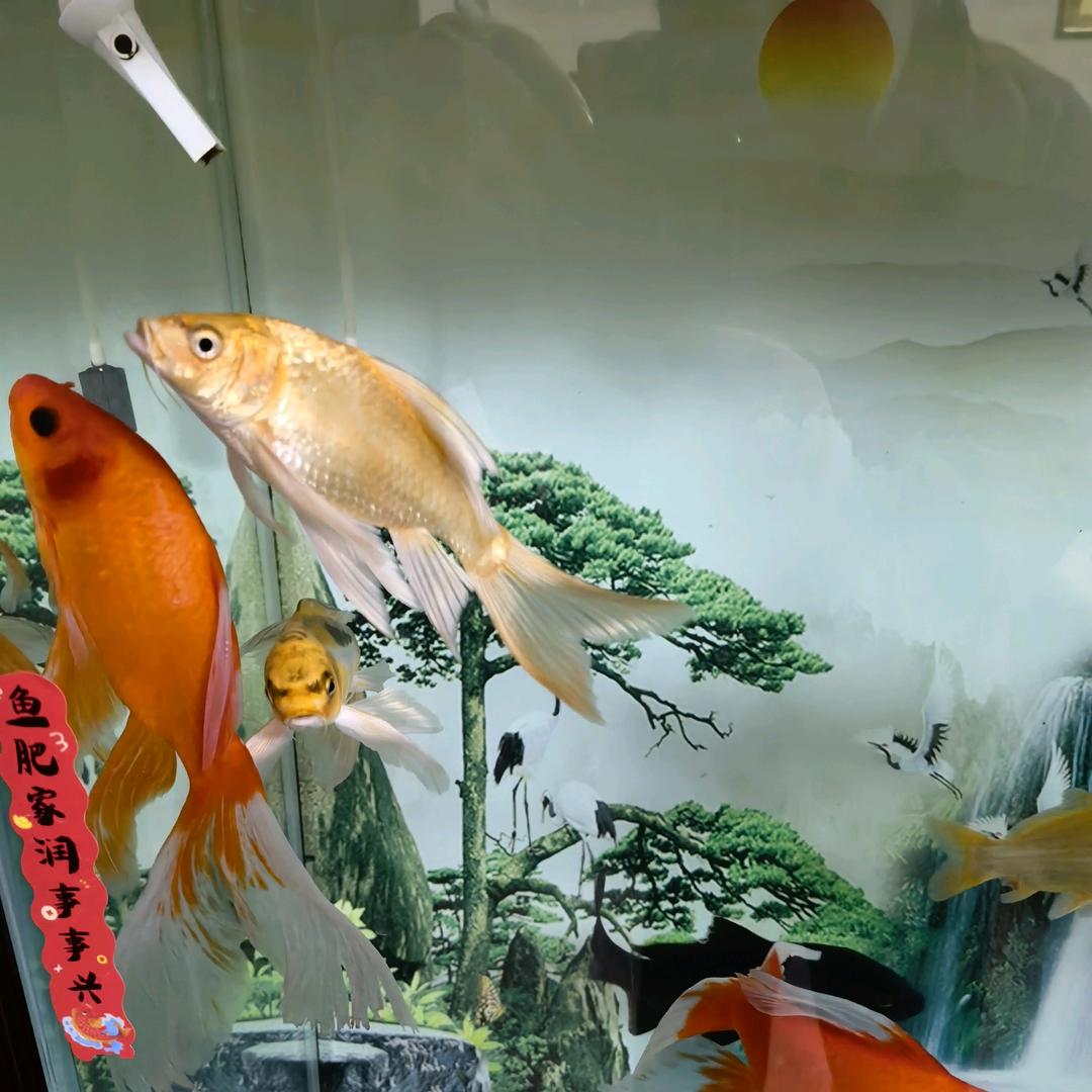 心里空荡荡
