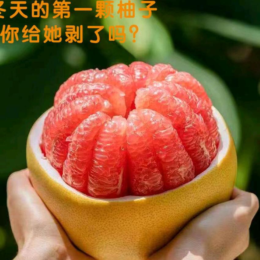 黎川县胭脂柚