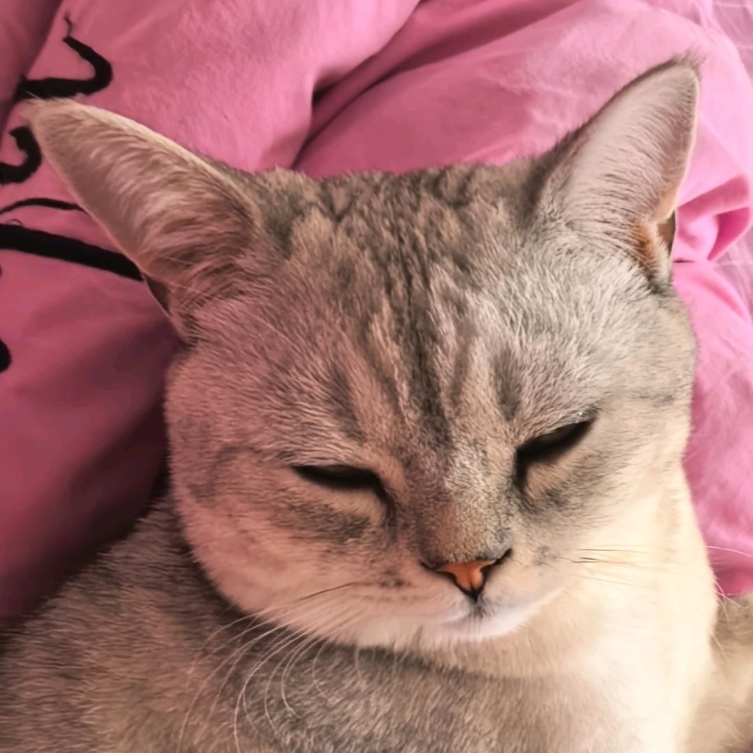 小鬼小鬼