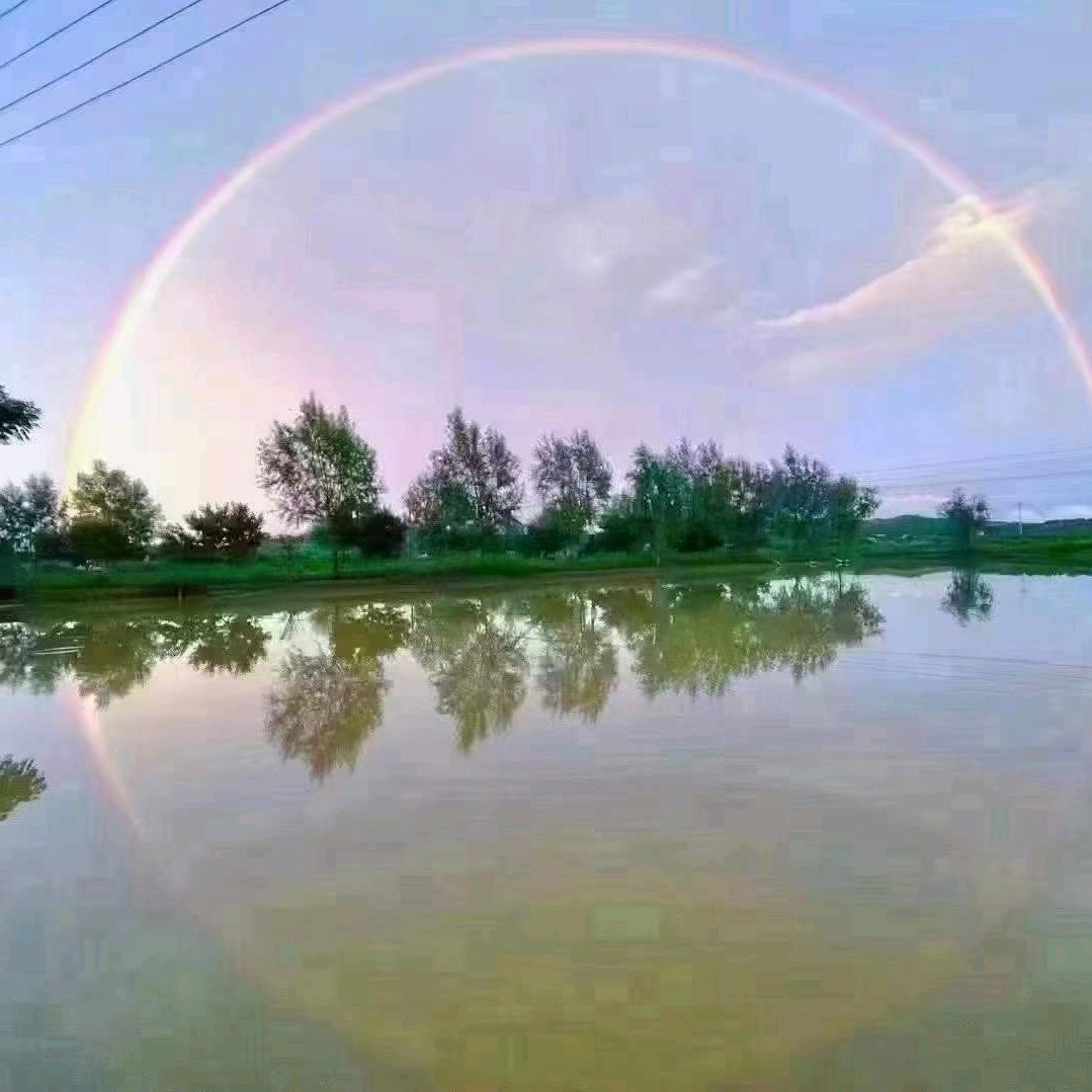 白姐