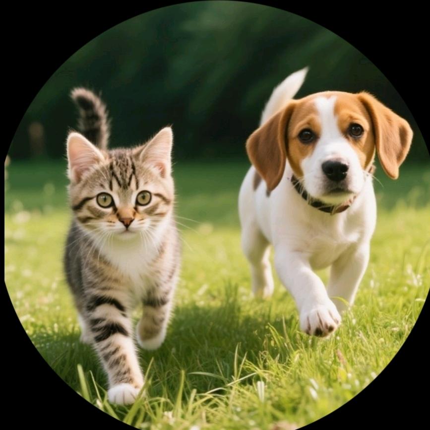 庆哥好物来分享