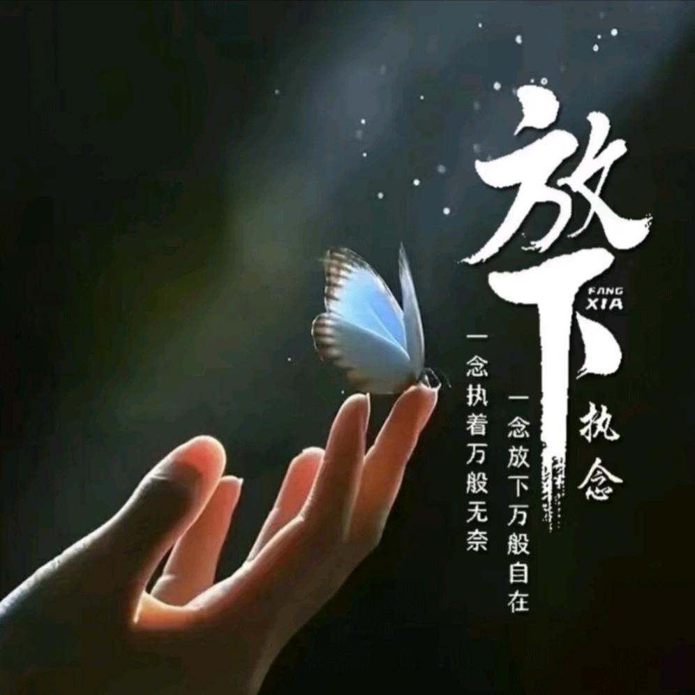℘💞᭄᪲ᩚ꯭ᩚ砒霜有点甜💞᭄᪲