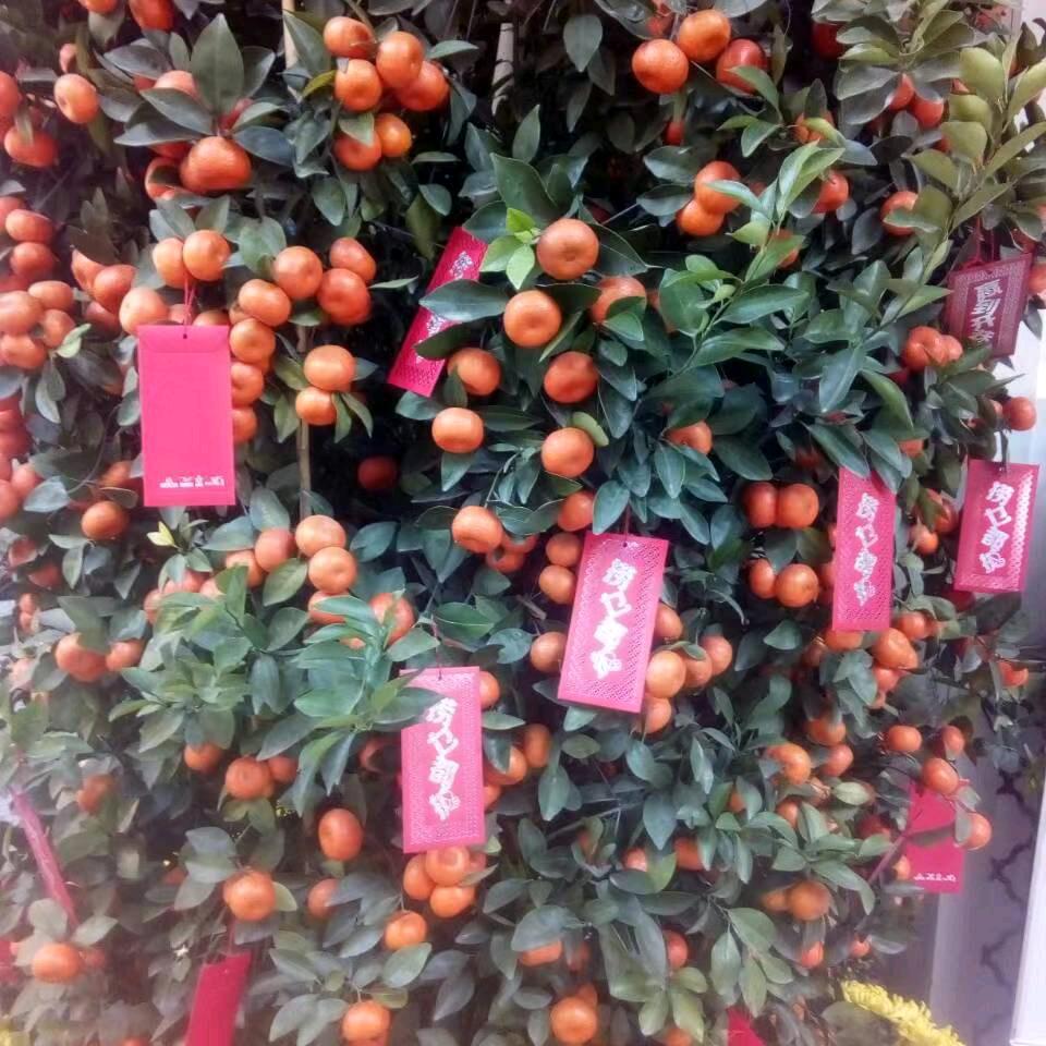 人到老年忆少年