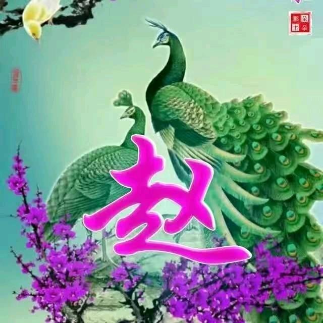 杨帆起航