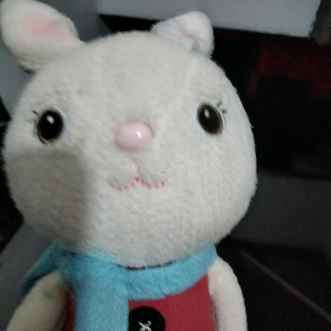 看大盘的菇凉