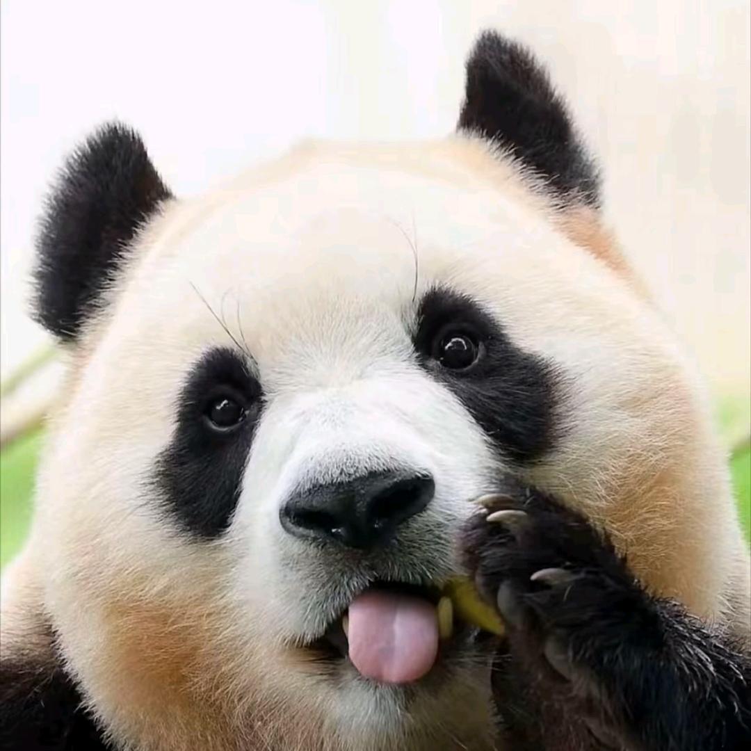 陪伴是最长情的告白
