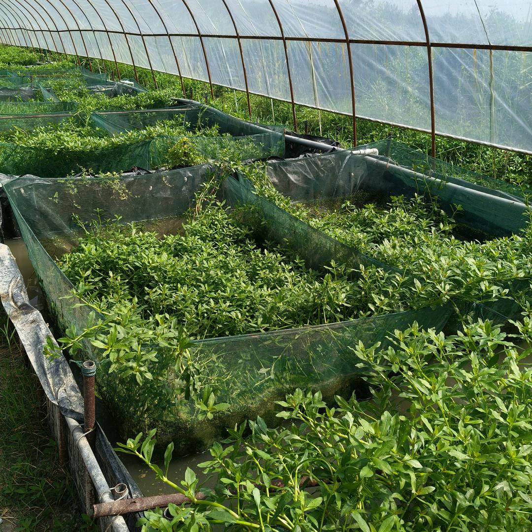 梁老师鑫科源水产