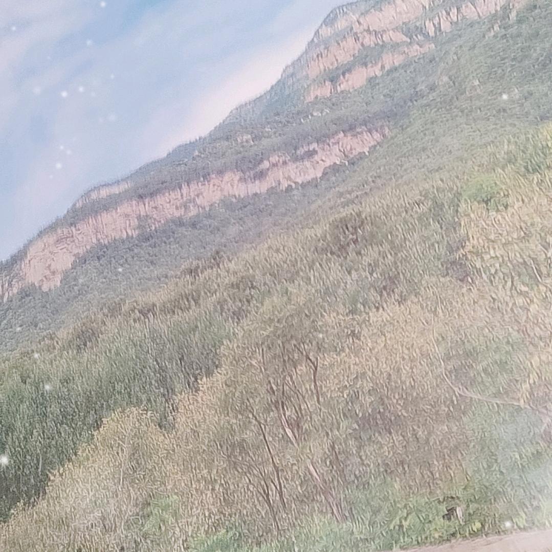 驾校招生