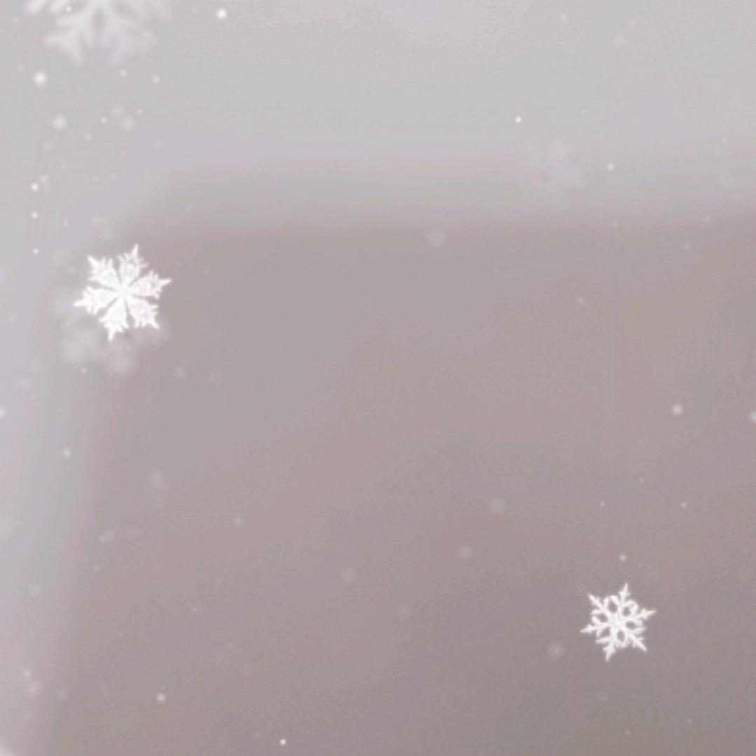 十二个生肖