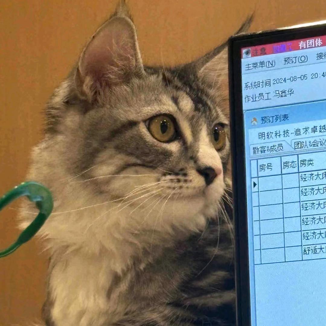 是吗今晚会下雨吗