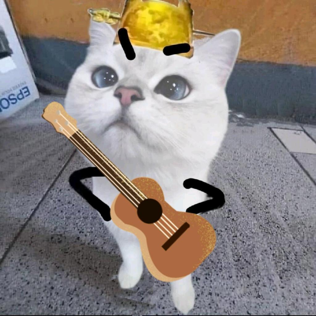 我和雪饼从小就体弱多病