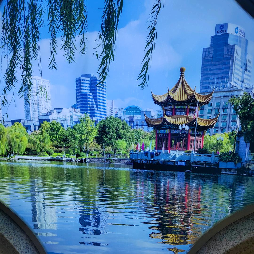 只看不刷@