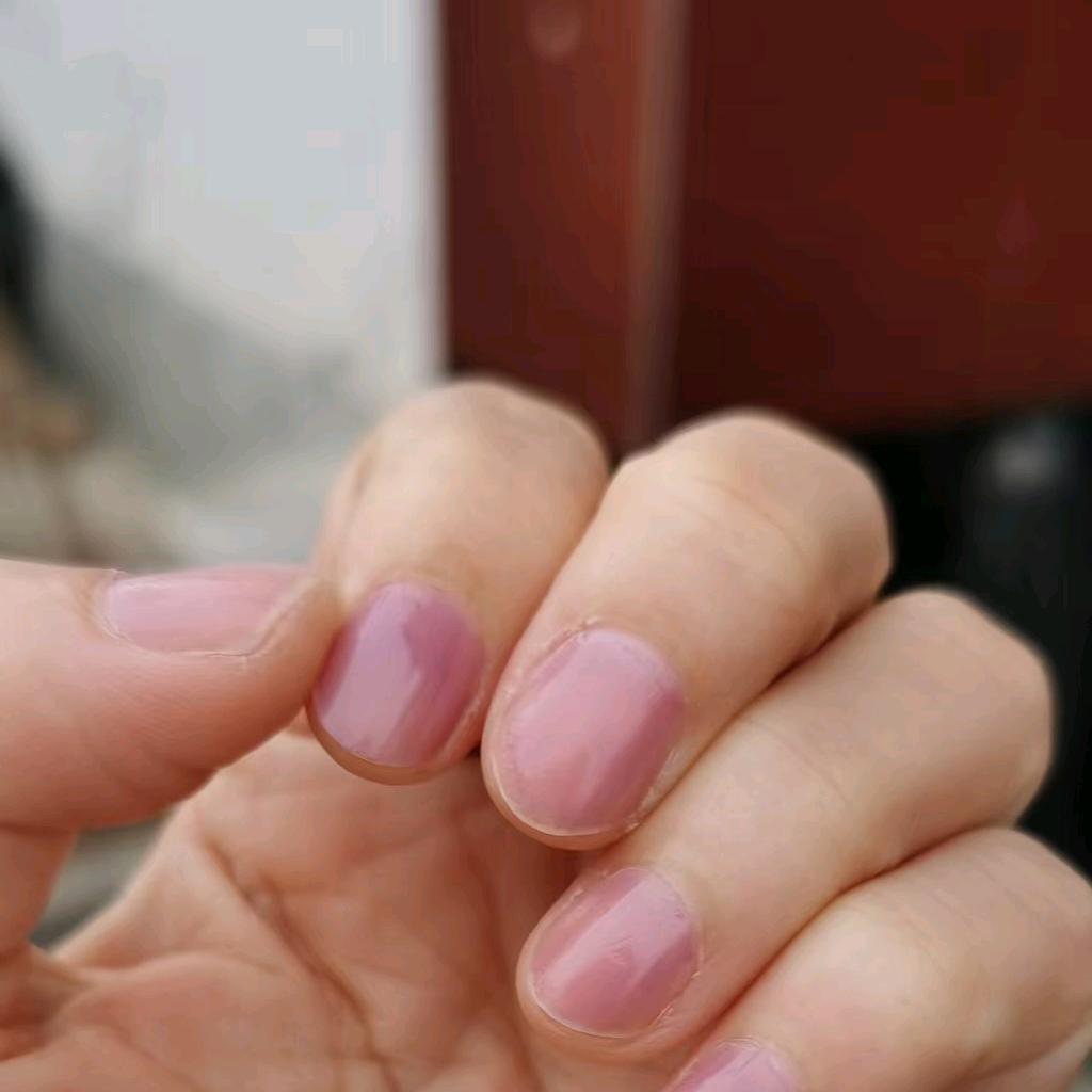 雨燕（胡品加）