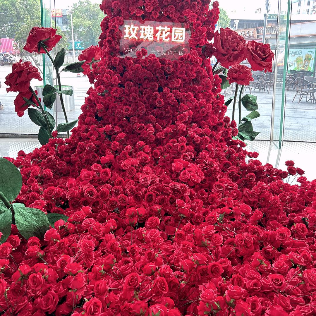 N.D容容