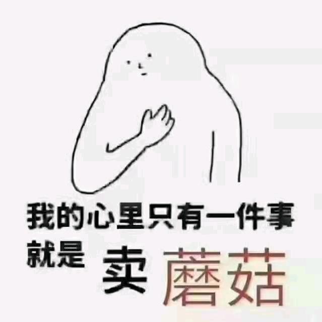 昊翔菌菇农场专业生产销售平菇和香菇