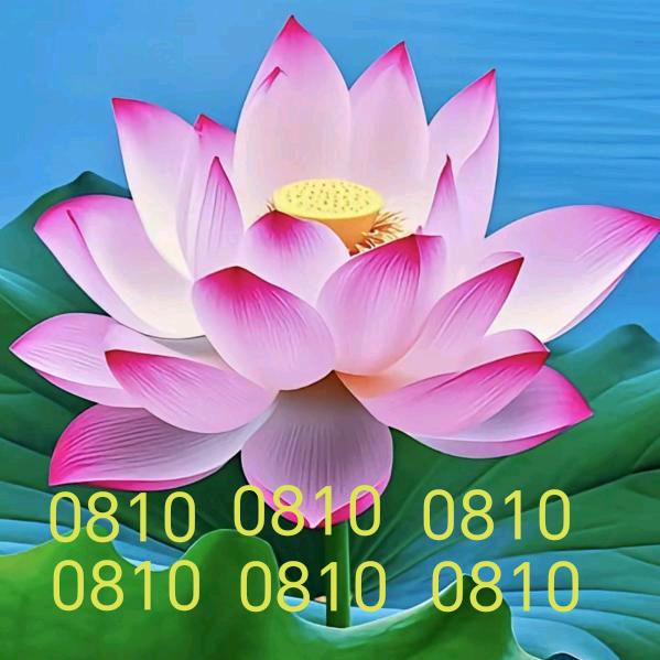 岁月静好