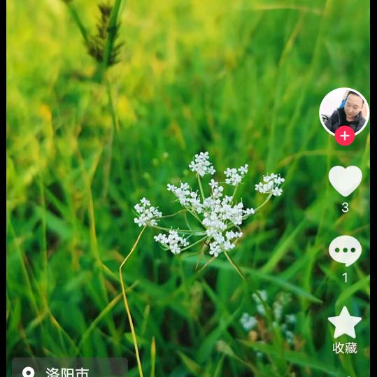 翱翔