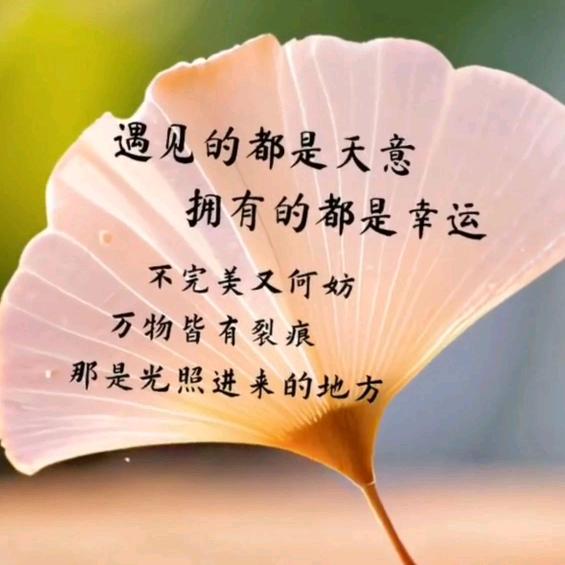 💫幸运星辰🍀