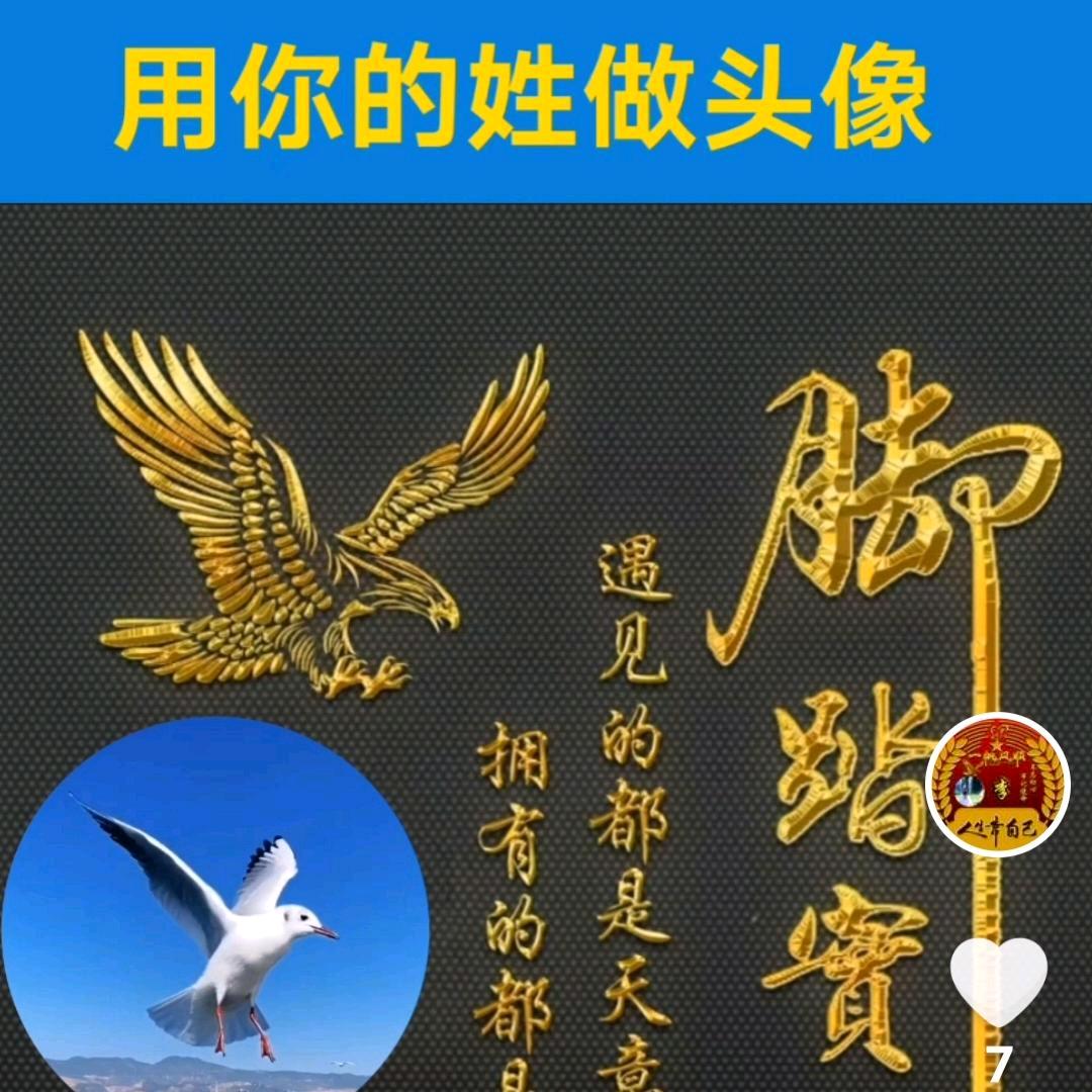 《老马》日常生活号