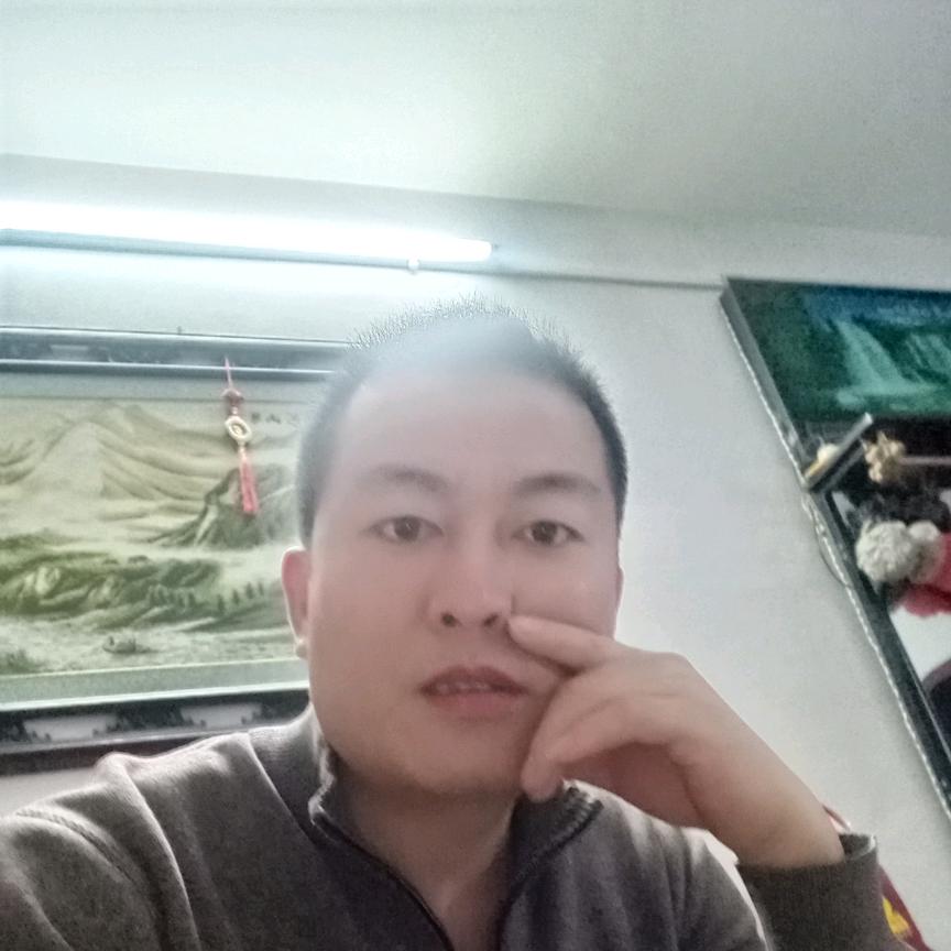 游鹍独运