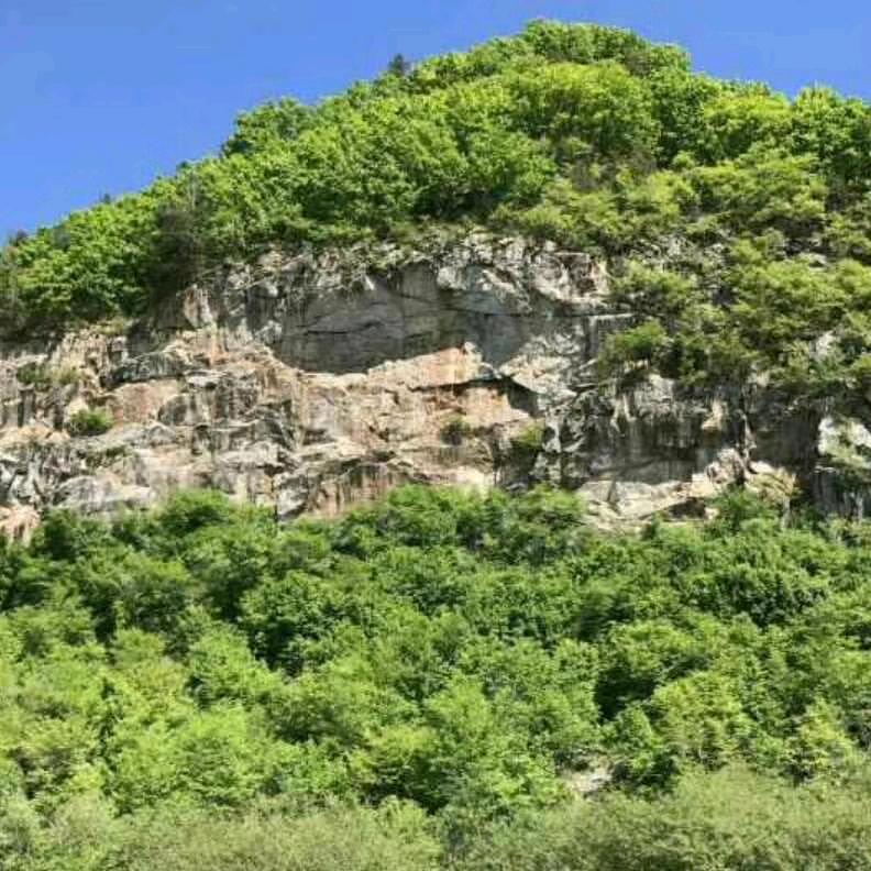 林业大军东北山产品