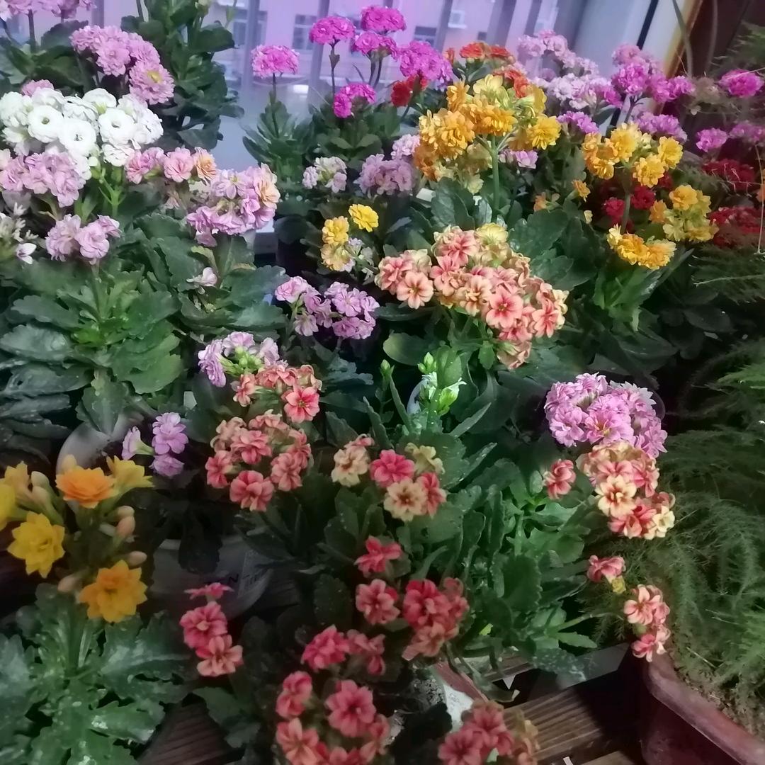 修 行