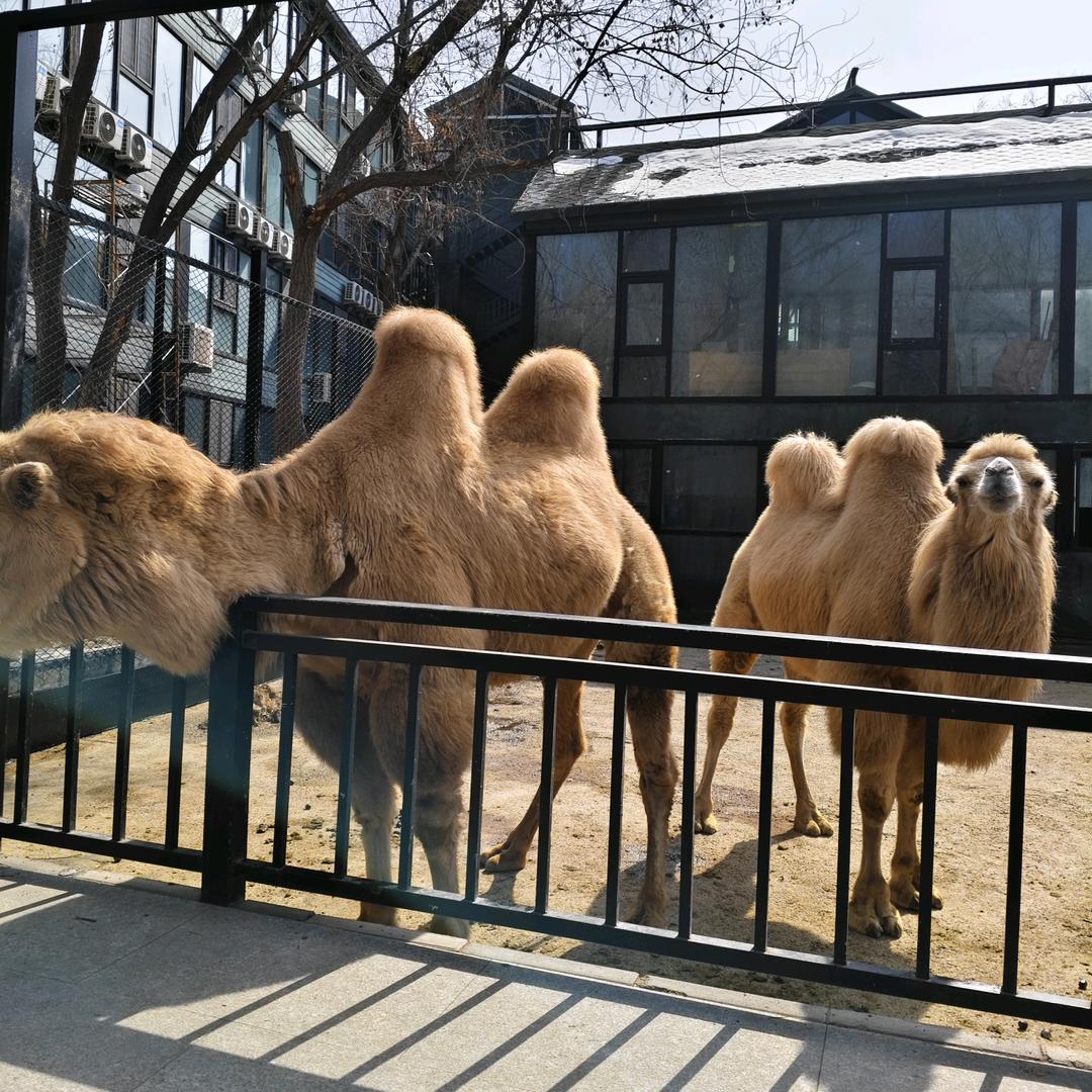 重新养一次自己