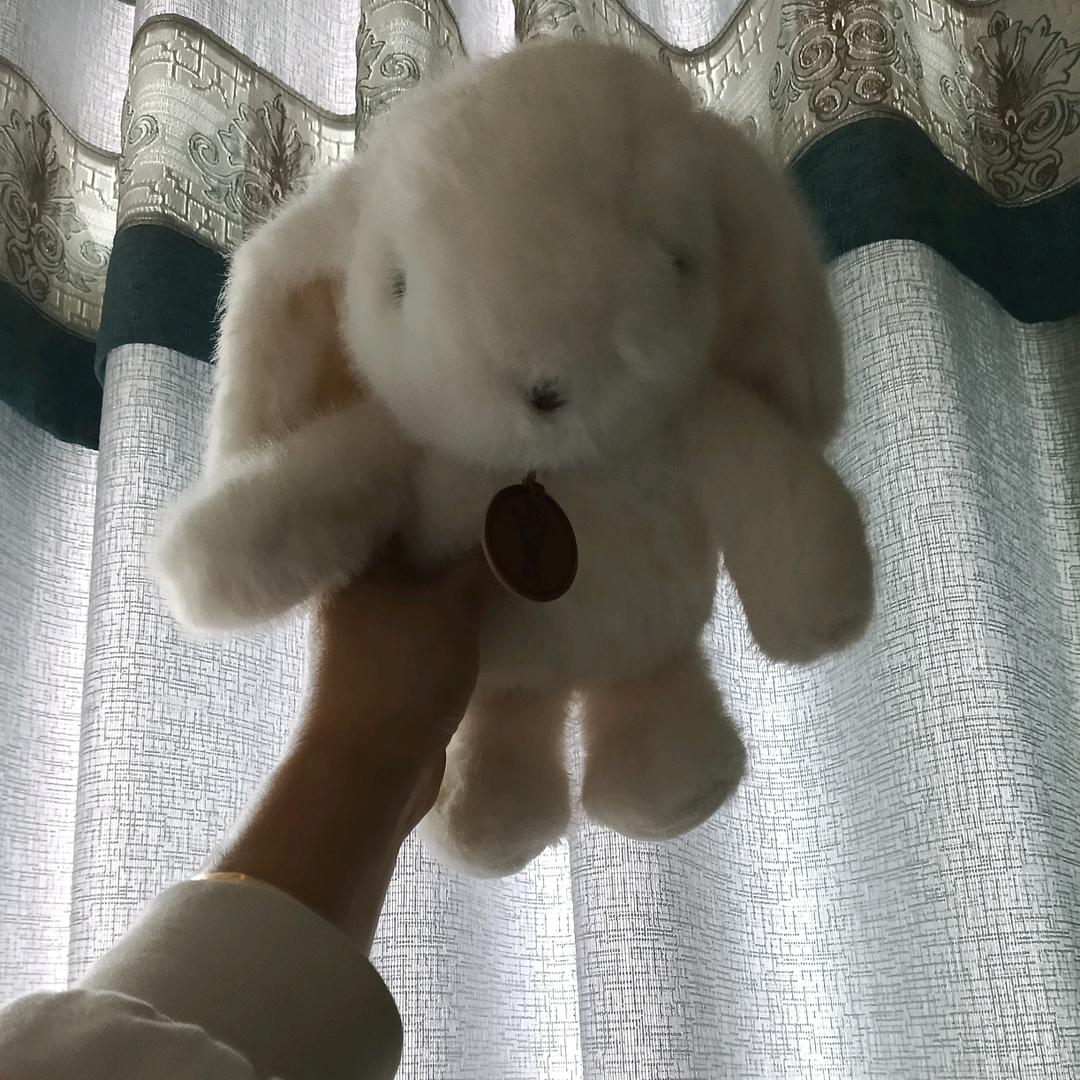 泡沫之花