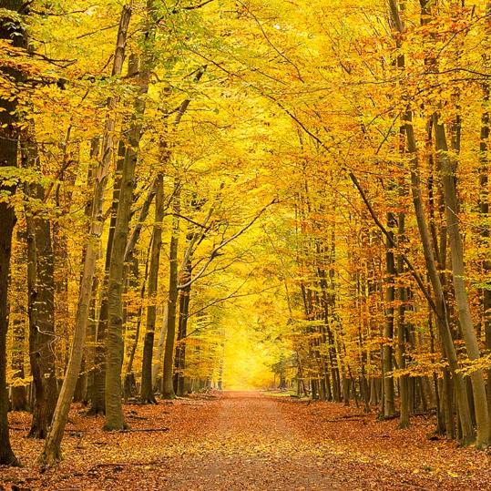 你给的糖很甜，但不是我要的味道。