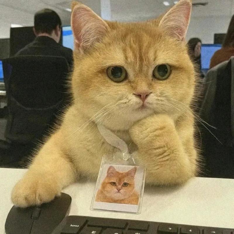 画图到凌晨三点半