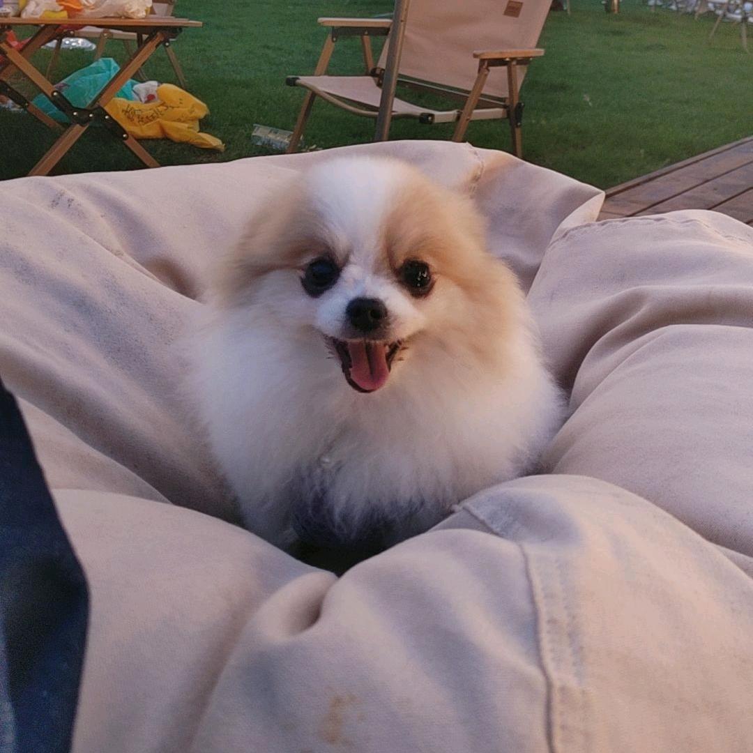 朵妹
