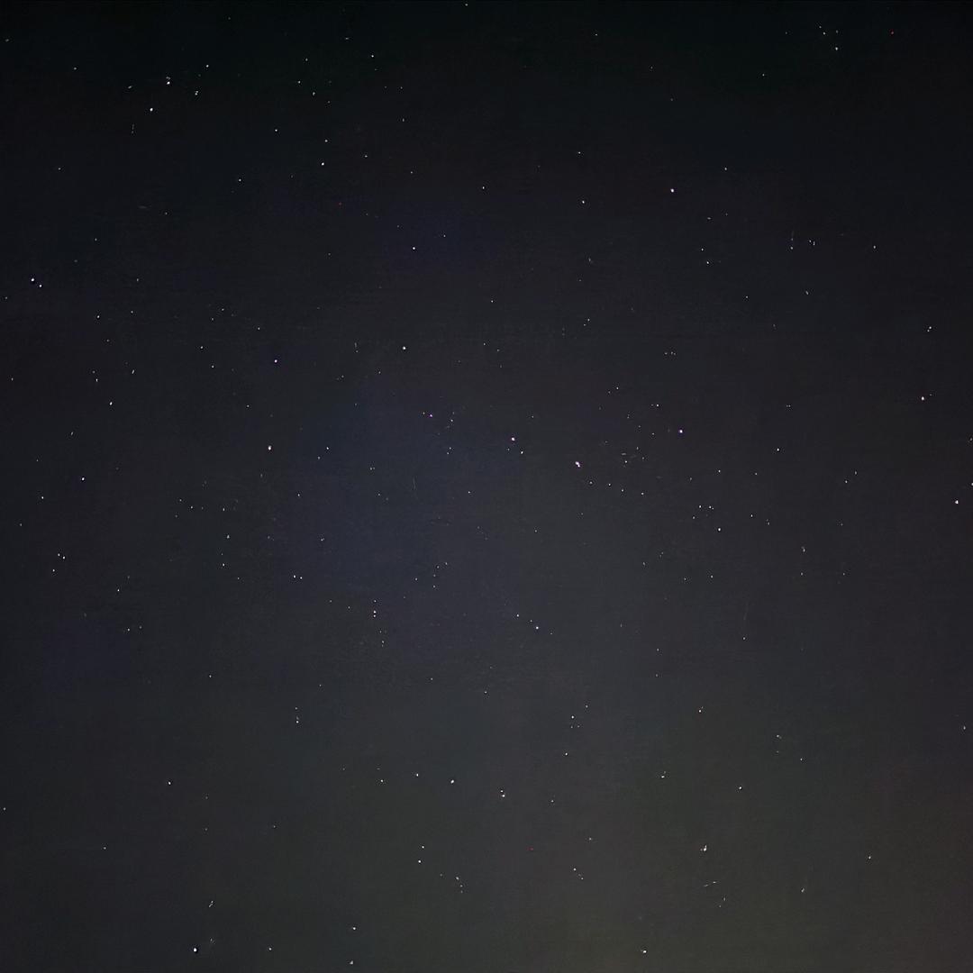 W--w头像