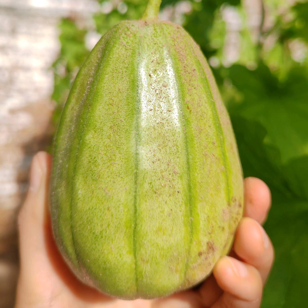 绥德芝麻官晶晶