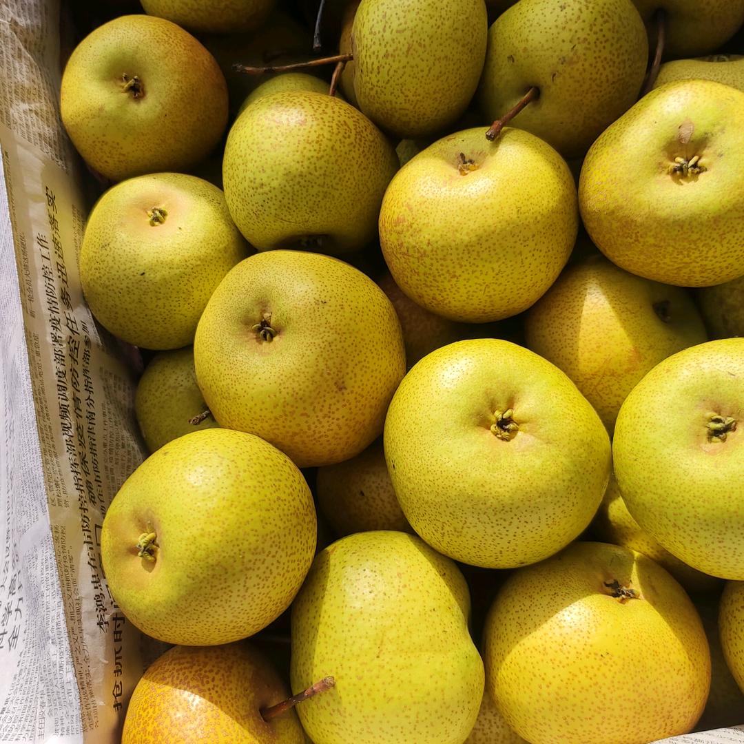 手机用户641445优美清风