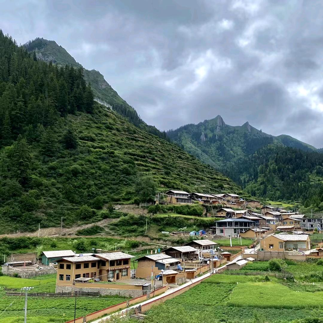 李军