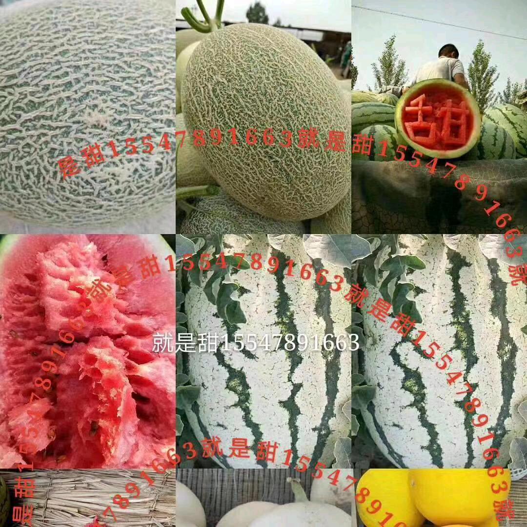 北方瓜类等农产品产销区