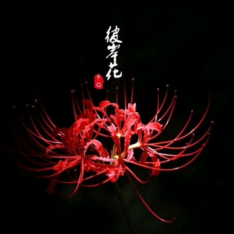 木木♡