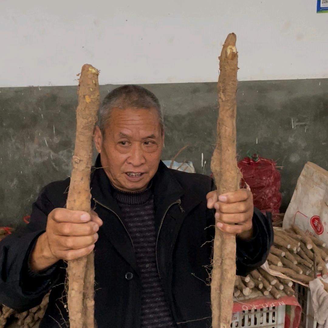 怀膳堂铁棍山yao