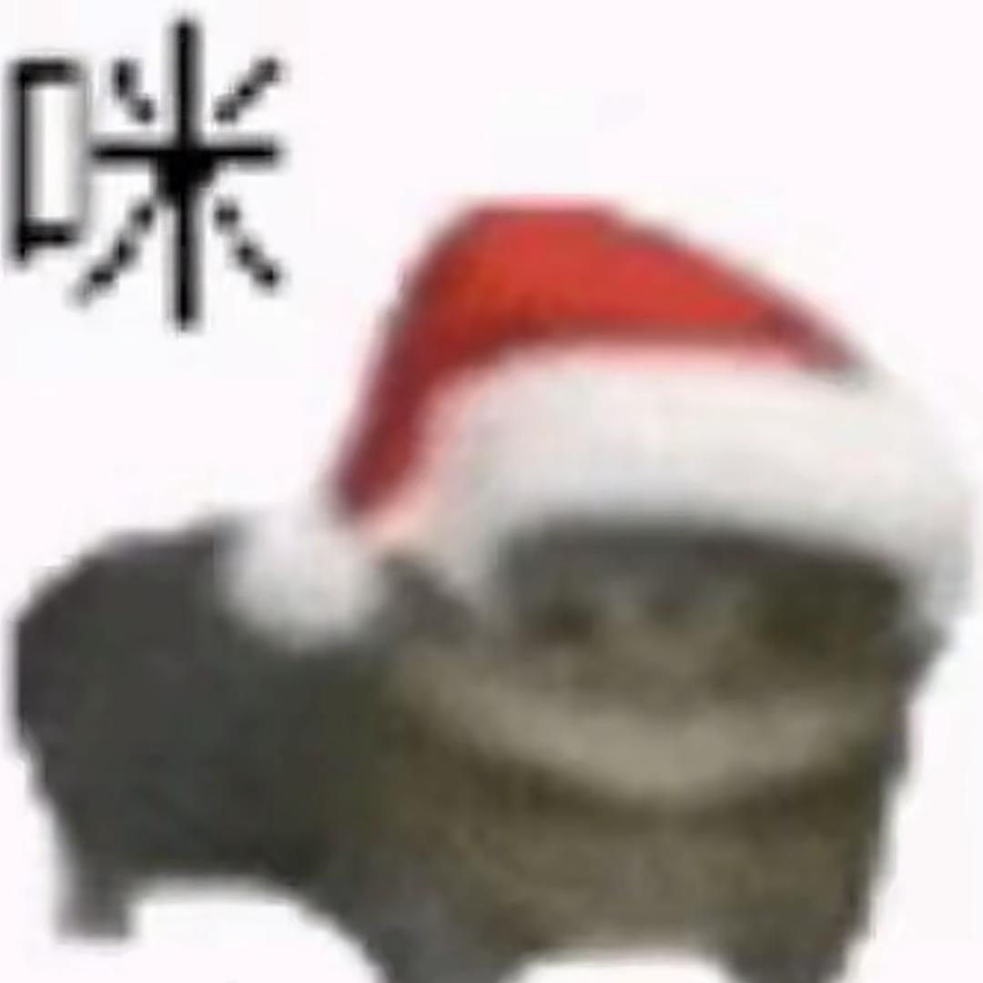 省省宝（大学生薅🐏毛版）