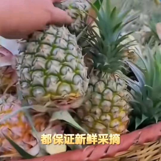 舒畅优选