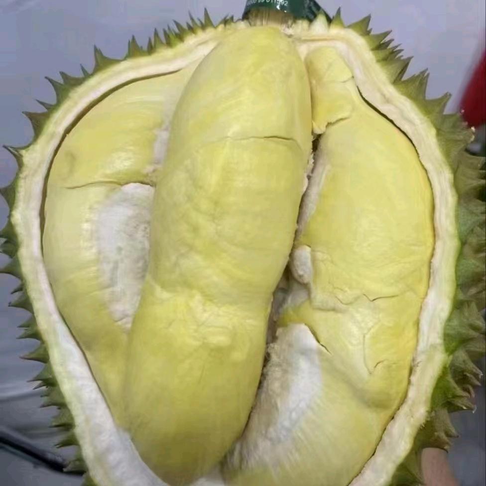 榴莲街精品果仓