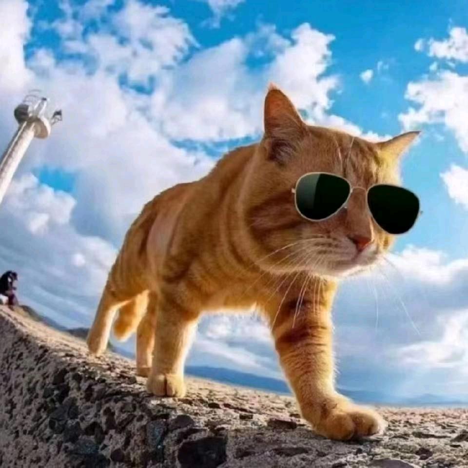 这一路，坚守，胡1971.521.人生何