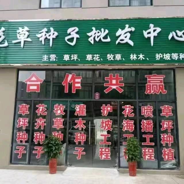 张倩沭阳迎贝花卉优品小铺四季春牧草